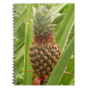 Recherche de ananas tropical carnets Nature