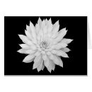 Recherche de de mandala photographie Conception