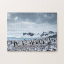 Recherche de animaux dans le sauvage puzzles Hiver