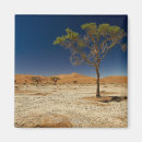 Suche nach namib magnete Landschaft