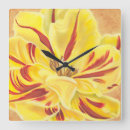 Recherche de fleurs de tulipes horloges Botanique