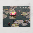 Recherche de lys cartes postales Botanique