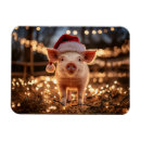 Suche nach glückliches schwein magnete Tier