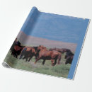 Suche nach wildes pferd geschenkpapier Western