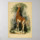 Suche nach vintage giraffen poster Antike