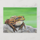 Suche nach frosch postkarten Tierwelt