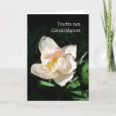 Suche nach französisch andere beileidskarten Blume