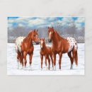 Suche nach rotes pferd postkarten Schnee