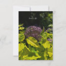 Recherche de allium Jardin
