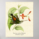 Recherche de amant sauvage posters Illustration