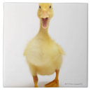 Recherche de vue face carreaux Nature