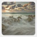 Recherche de caïman autocollants Littoral