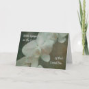 Recherche de orchidée blanche vœux cartes Sympathie