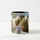 Suche nach sheep tassen Bauernhof