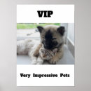 Recherche de une très posters Amoureux des chats