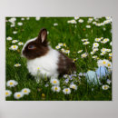 Suche nach niedlicher osterhase poster Kaninchen