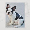 Suche nach french bulldog postkarten Frenchie