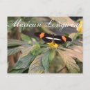 Recherche de longévité cartes postales Papillon