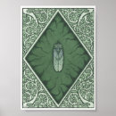 Recherche de cigale posters Été
