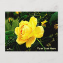 Recherche de rosas cartes postales Printemps