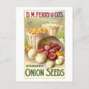 Recherche de oignon cartes postales Vintage