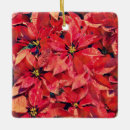 Recherche de poinsettias ornamente Pour tous