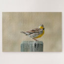 Suche nach singvögel puzzle Natur