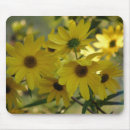 Suche nach sumpf mousepads Natur