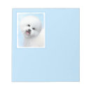 Recherche de bichon frisé Chien