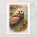 Recherche de loutres mer cartes postales Illustration