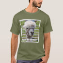 Recherche de contrarié tshirts Alpaga