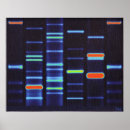 Recherche de adn posters Dna