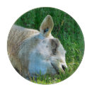 Suche nach schafe schneidebrettchen Tiere