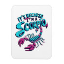 Recherche de zodiaque rectangulaires magnets Vintage