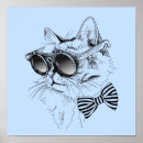 Suche nach eine coole katze poster Haustier