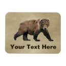 Recherche de ours gris magnets Brun