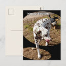 Recherche de chien dalmatien cartes invitations Tacheté