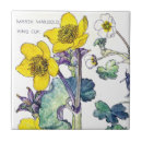 Recherche de marais carreaux Botanique