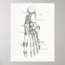 Recherche de anatomie pied art Os