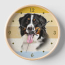 Recherche de berner sennenhund posters Animal
