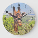 Suche nach lustige giraffe poster wanduhren Niedlich