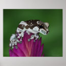 Suche nach frei wild poster Natur