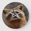 Suche nach waschbär wanduhren Neugierig