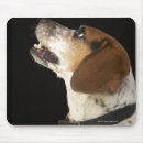 Recherche de profil tapis souris Animaux