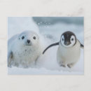 Suche nach junges tier postkarten Winter