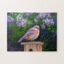 Suche nach singvögel puzzle Blau