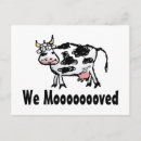 Recherche de cow cartes postales Nous avons proposé