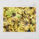 Suche nach bananen poster Plantagen