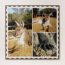 Suche nach känguru puzzle Australisch