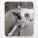 Recherche de alsacien tapis souris Gsd